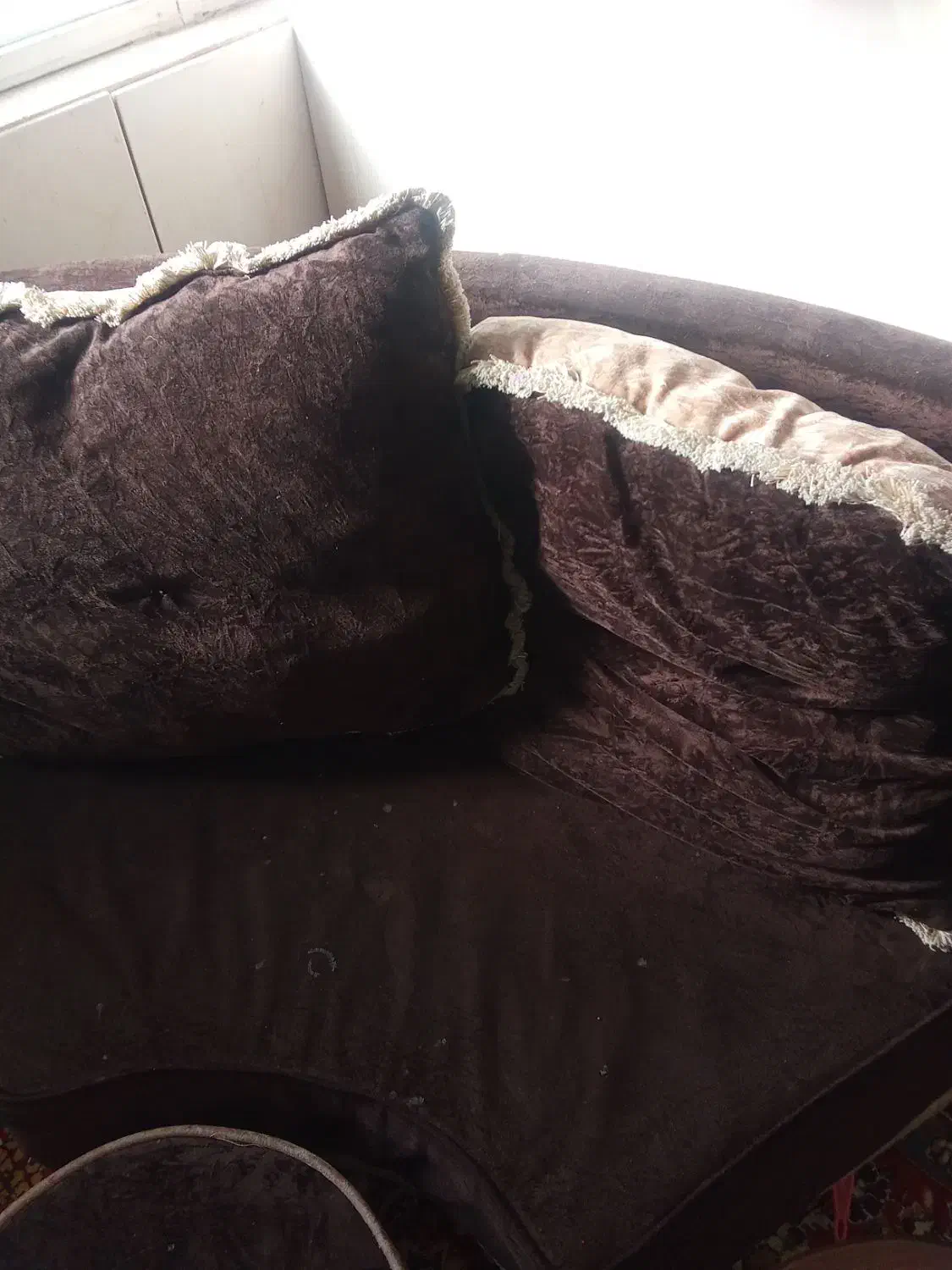 دو دست مبل|مبلمان خانگی و میز عسلی|شهمیرزاد, |دیوار