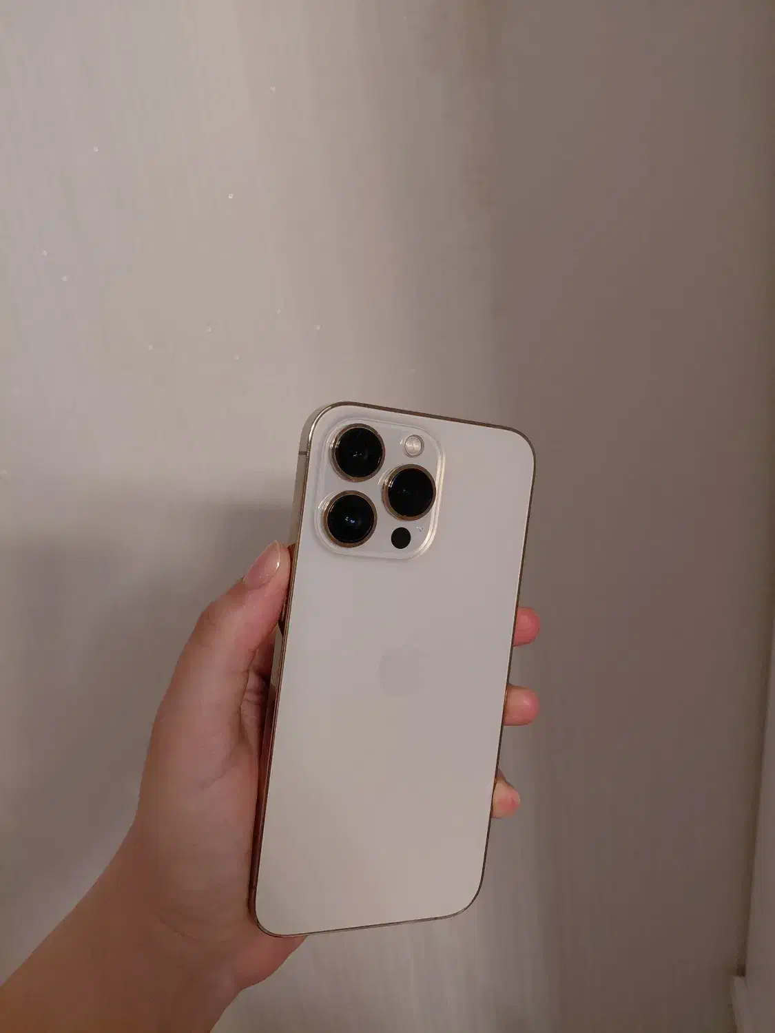 گوشی ایفون ۱۳ پرو|موبایل|تبریز, |دیوار