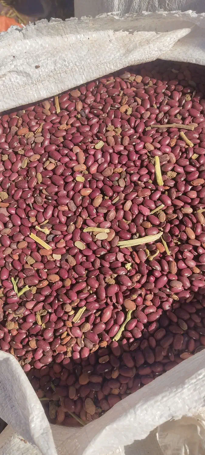 یک تن لوبیا قرمز|خوردنی و آشامیدنی|کوهرنگ, |دیوار