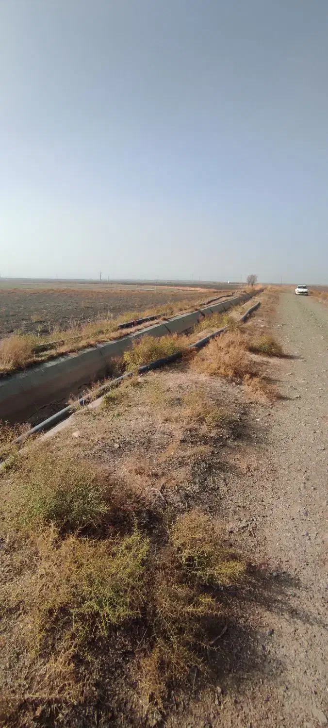 ۱۸۳۰۰ متر زمین زراعی با سند تک برگ عرصه و اعیان|فروش دفتر صنعتی، کشاورزی، تجاری|میاندوآب, |دیوار
