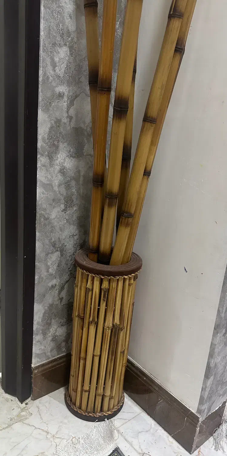 گلدان و چوب نی بامبو|صنایع دستی و سایر لوازم تزئینی|بندر ماهشهر, |دیوار