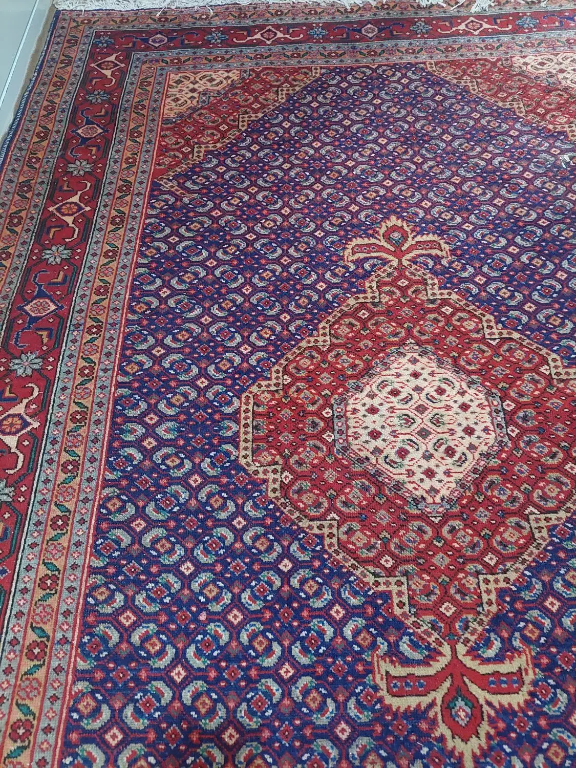 قالی دستبافت 6متری|فرش|اردبیل, |دیوار