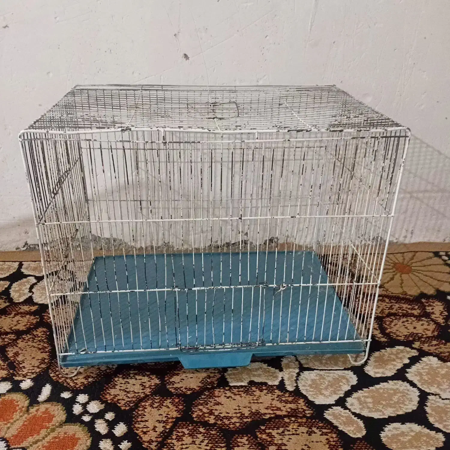 قفس پرنده|لوازم جانبی حیوانات|گرگان, |دیوار