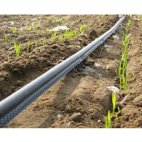 نوارآبیاری«قطره ای»|خدمات باغبانی و درختکاری|جیرفت, |دیوار