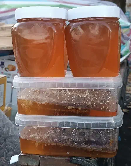 عسل طبیعی|خوردنی و آشامیدنی|تهران, زنجان جنوبی|دیوار