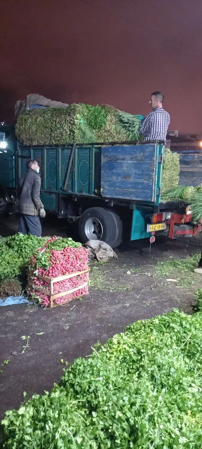 خاور813|خودرو سنگین|تهران, سلسبیل جنوبی|دیوار