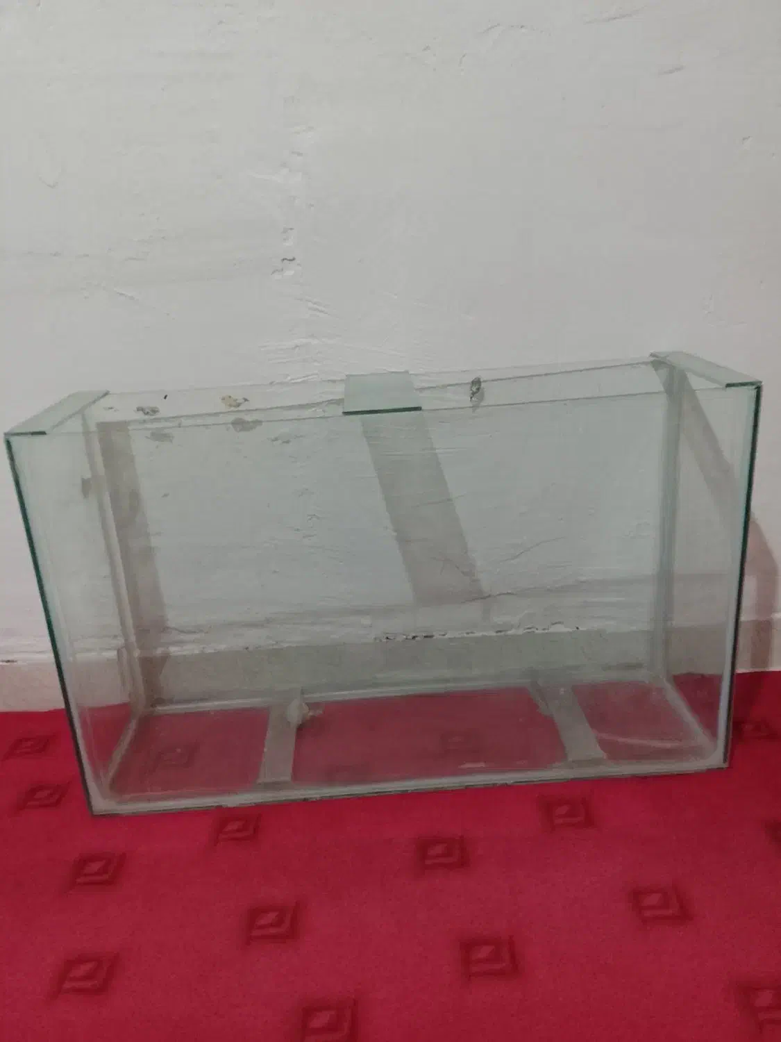 آکواریوم|ماهی|خرمآباد, |دیوار