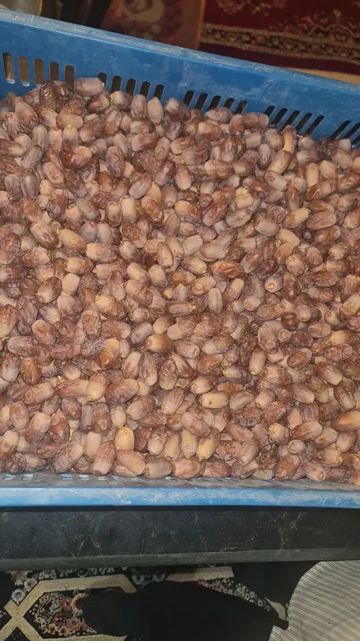 قصب اجیل و چایی و تغذیه|خوردنی و آشامیدنی|راهگان, |دیوار