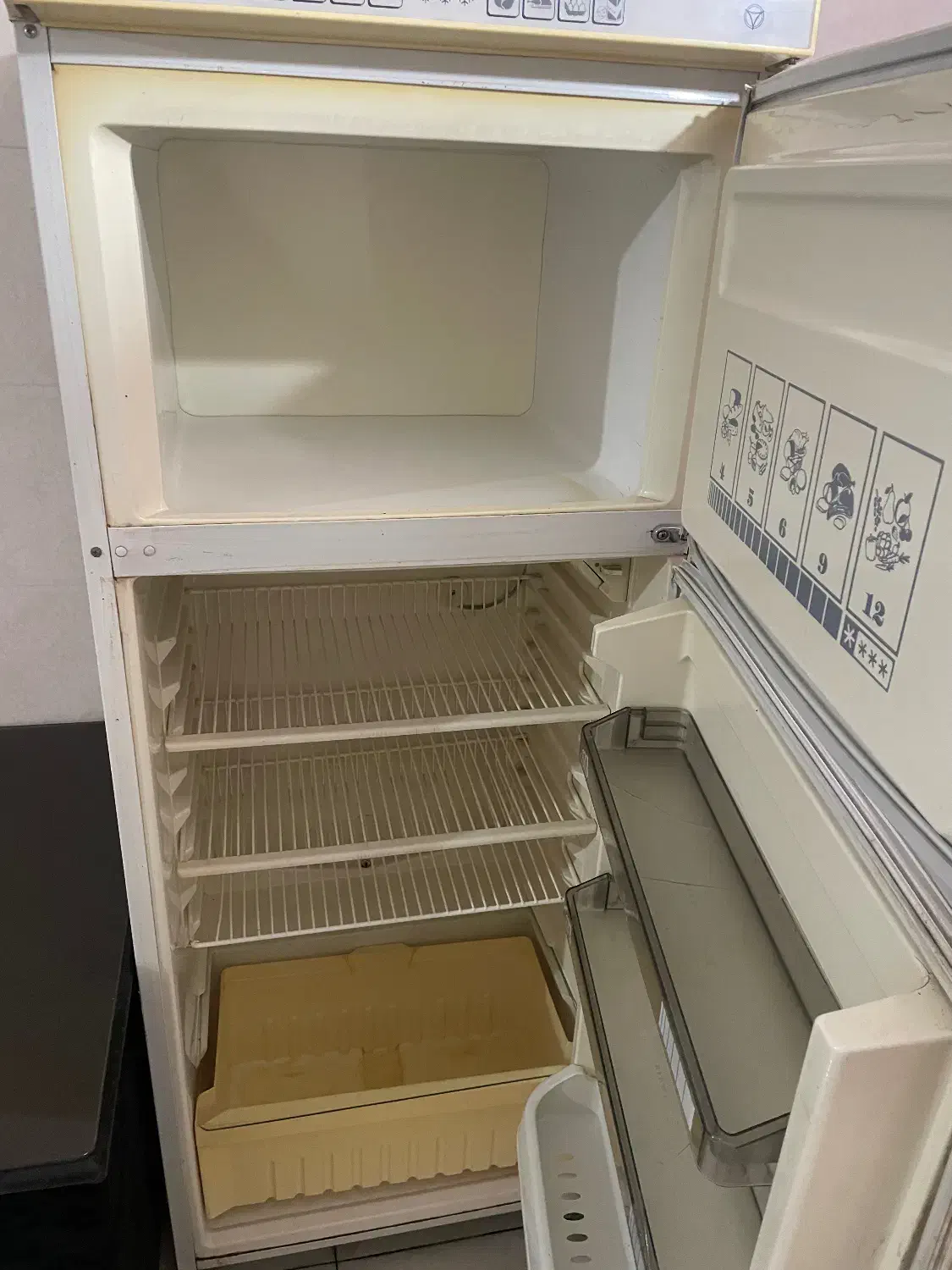 یخچال فیلور|یخچال و فریزر|تبریز, |دیوار