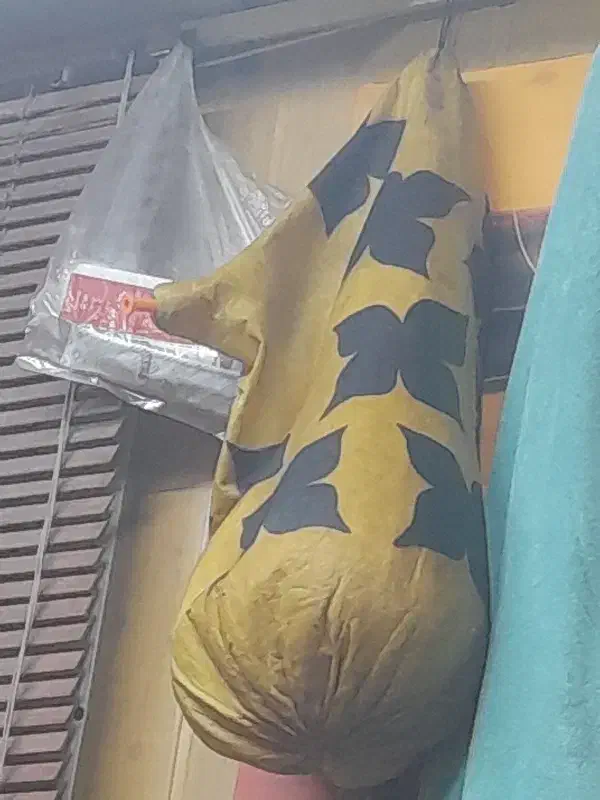 نی همبون سالم|سازهای بادی|بندرعباس, |دیوار