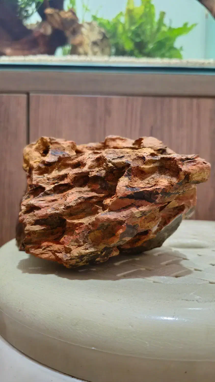 آکواریوم آماده|ماهی|ری, دولتآباد|دیوار