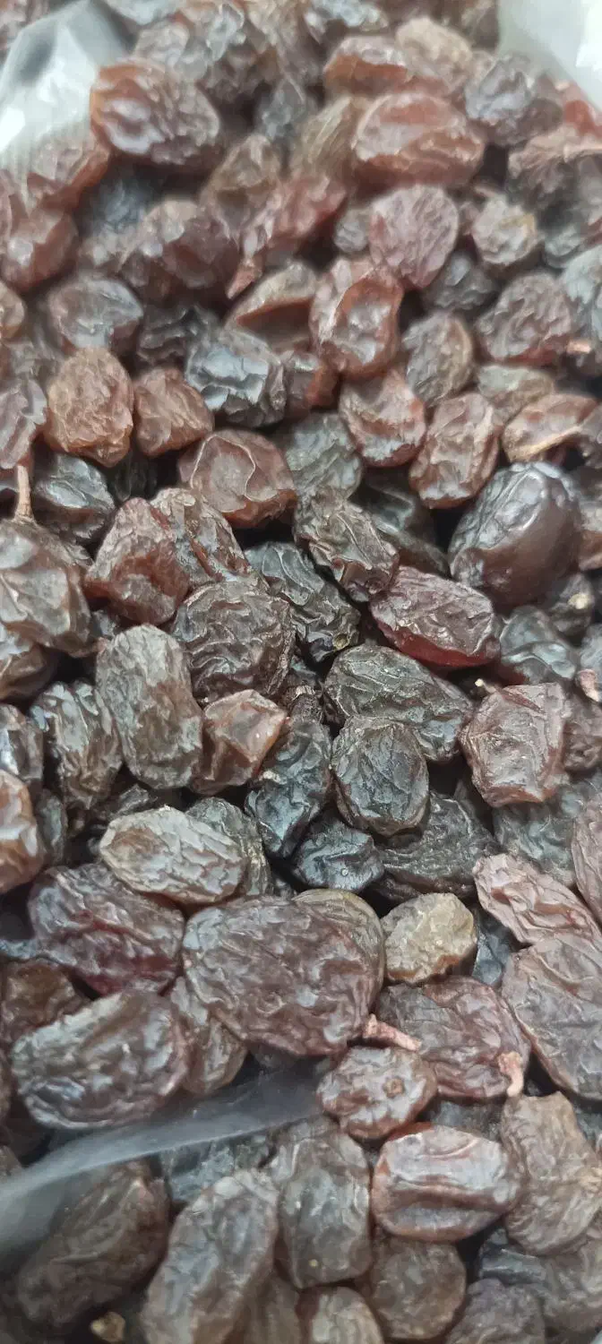 کشمش  تاکستان درجه یک تمیز گوشتی خوشمزه|خوردنی و آشامیدنی|قم, زنبیل آباد|دیوار