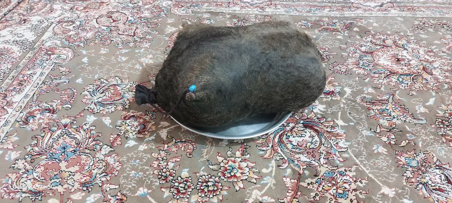 هیزه نهصد هزار تومان|ظروف نگهدارنده، پلاستیکی، یک‌بارمصرف|کوهدشت, |دیوار