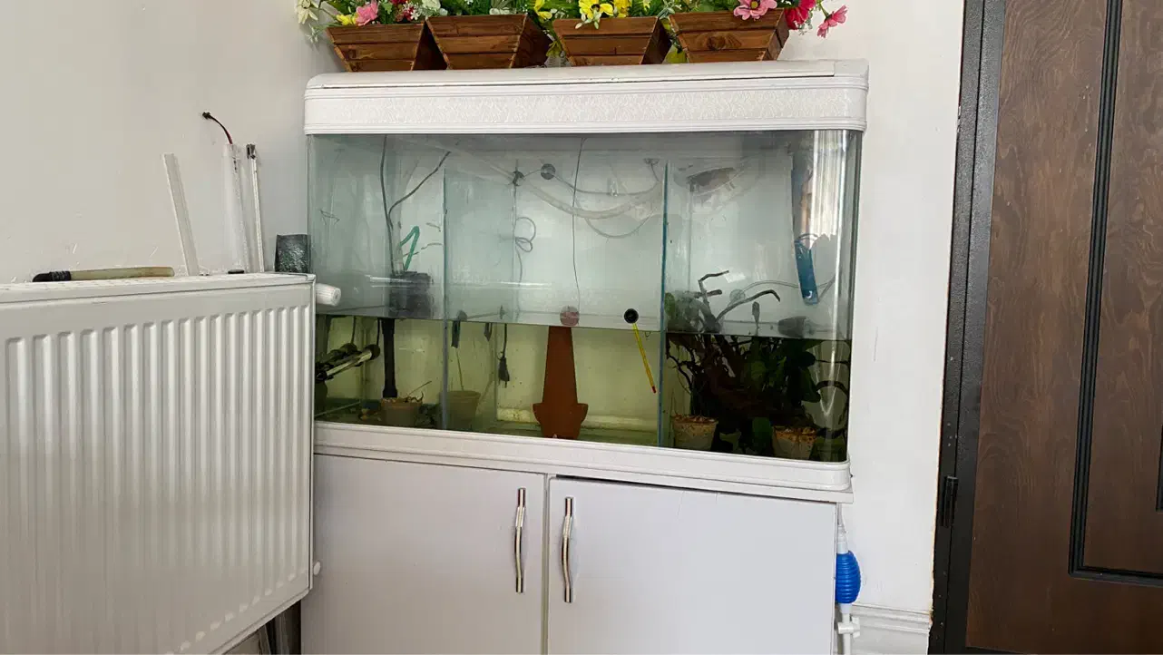 آکواریوم کامل شرکتی|ماهی|شیراز, شریف‌آباد|دیوار