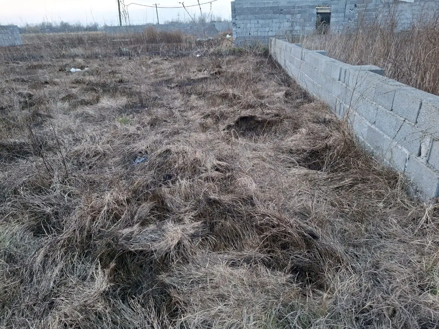 زمین ۲۰۰ متری|فروش زمین و ملک کلنگی|رشت, حومه رشت|دیوار