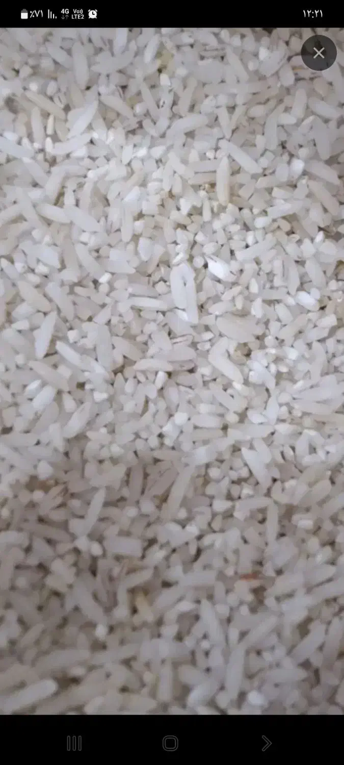 برنج نیم دانه هاشمی|خوردنی و آشامیدنی|رودبنه, |دیوار