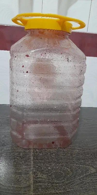 ظروف پلاستیکی|ظروف نگهدارنده، پلاستیکی، یکبارمصرف|اردکان, |دیوار