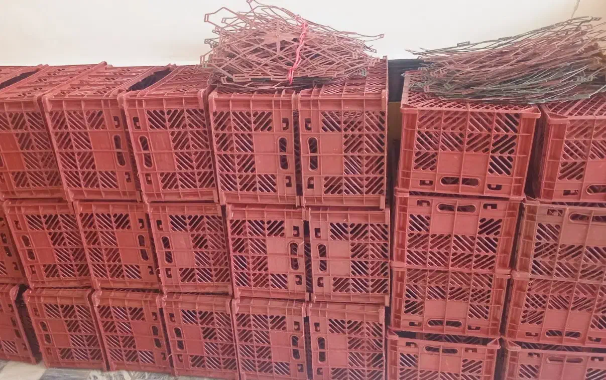 سبد سیب|ظروف نگهدارنده، پلاستیکی، یک‌بارمصرف|میاندوآب, |دیوار