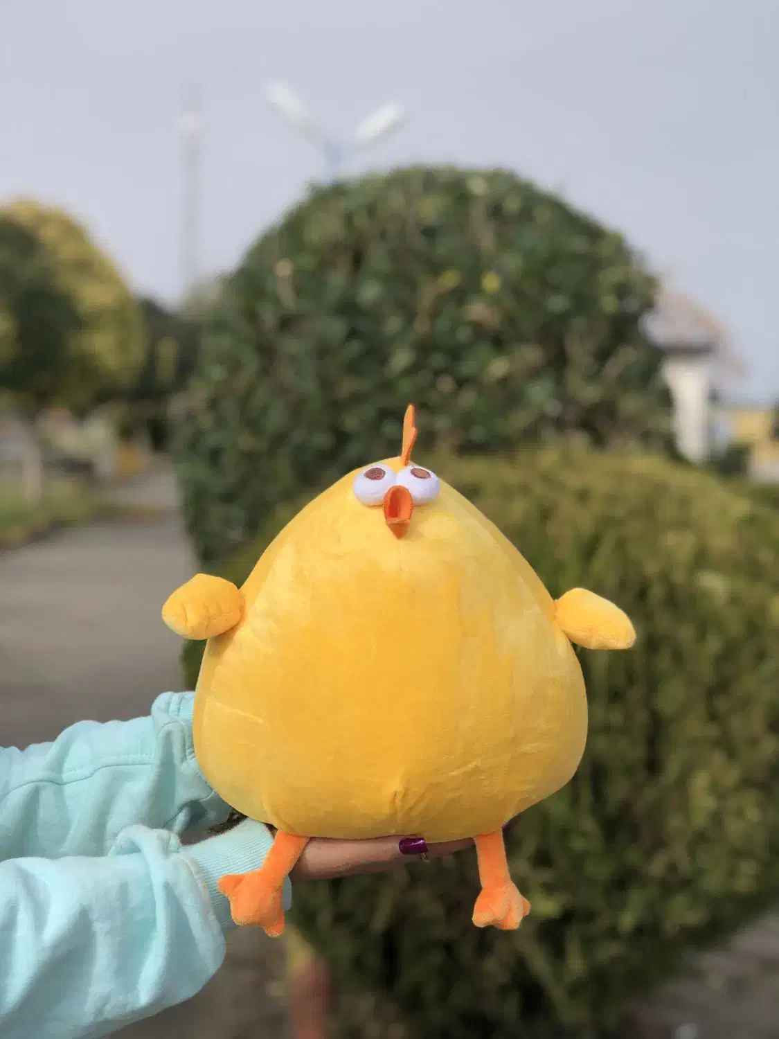 عروسک جوجو|اسباب‌‌بازی|کلاچای, |دیوار