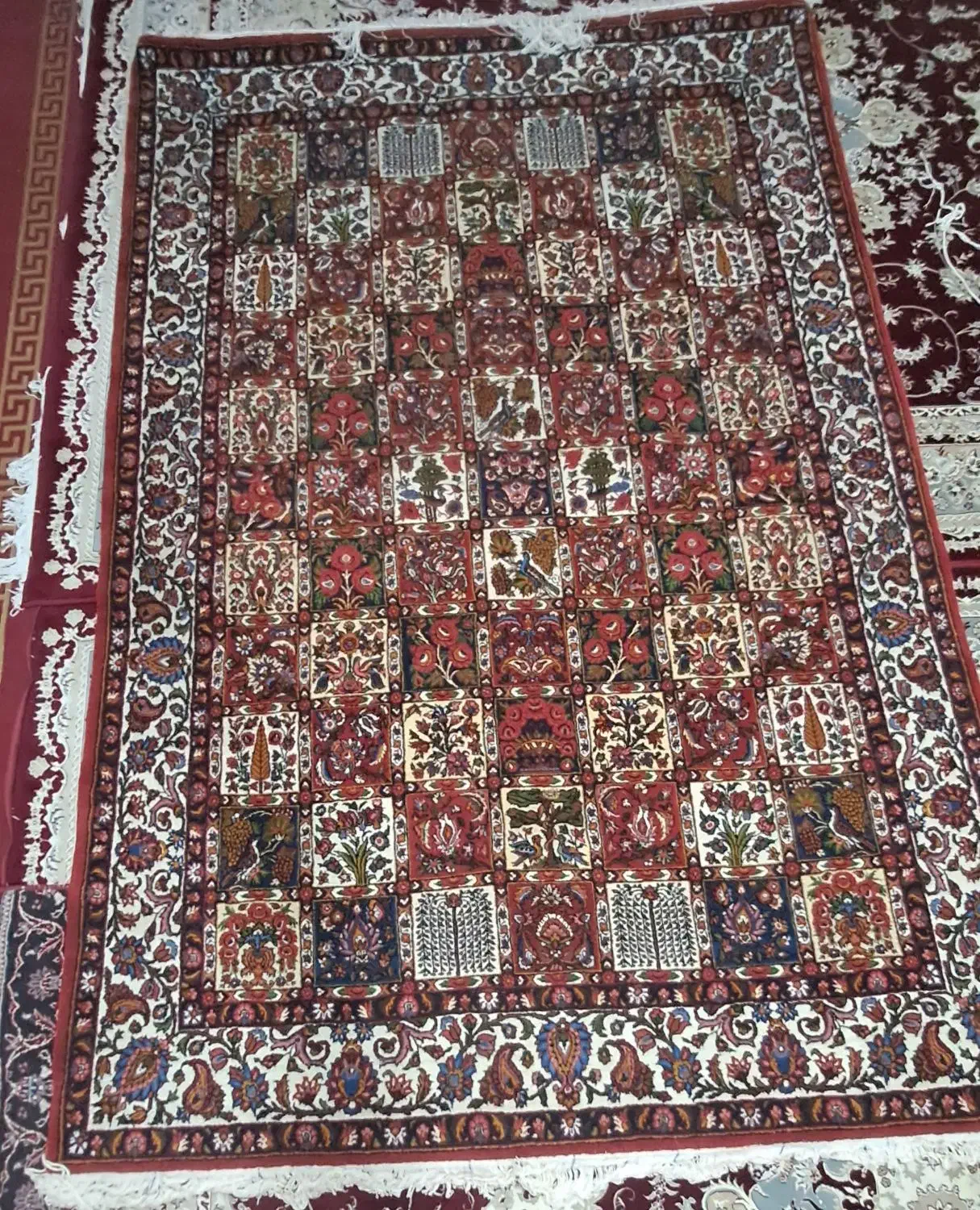 قالی دست بافت|فرش|لاران, |دیوار