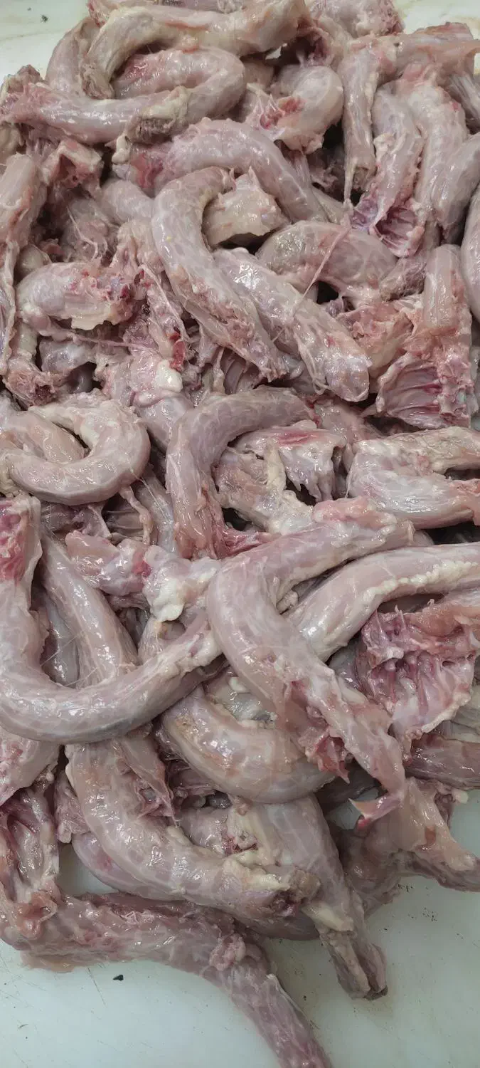گردن مرغ|خوردنی و آشامیدنی|تهران, قیام|دیوار