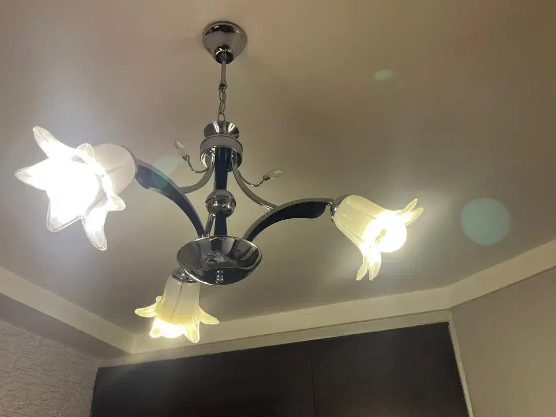 لوستر|لوستر و چراغ آویز|کردکوی, |دیوار