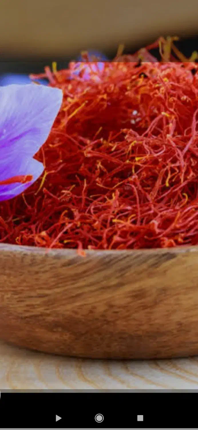 باسلام زعفران مرغوب اصل خراسان|خوردنی و آشامیدنی|تربت جام, جامرود|دیوار