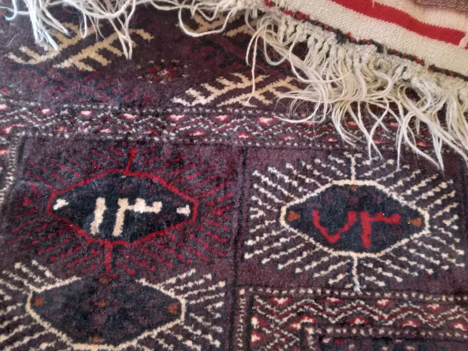 فرش|فرش|یاسوج, |دیوار