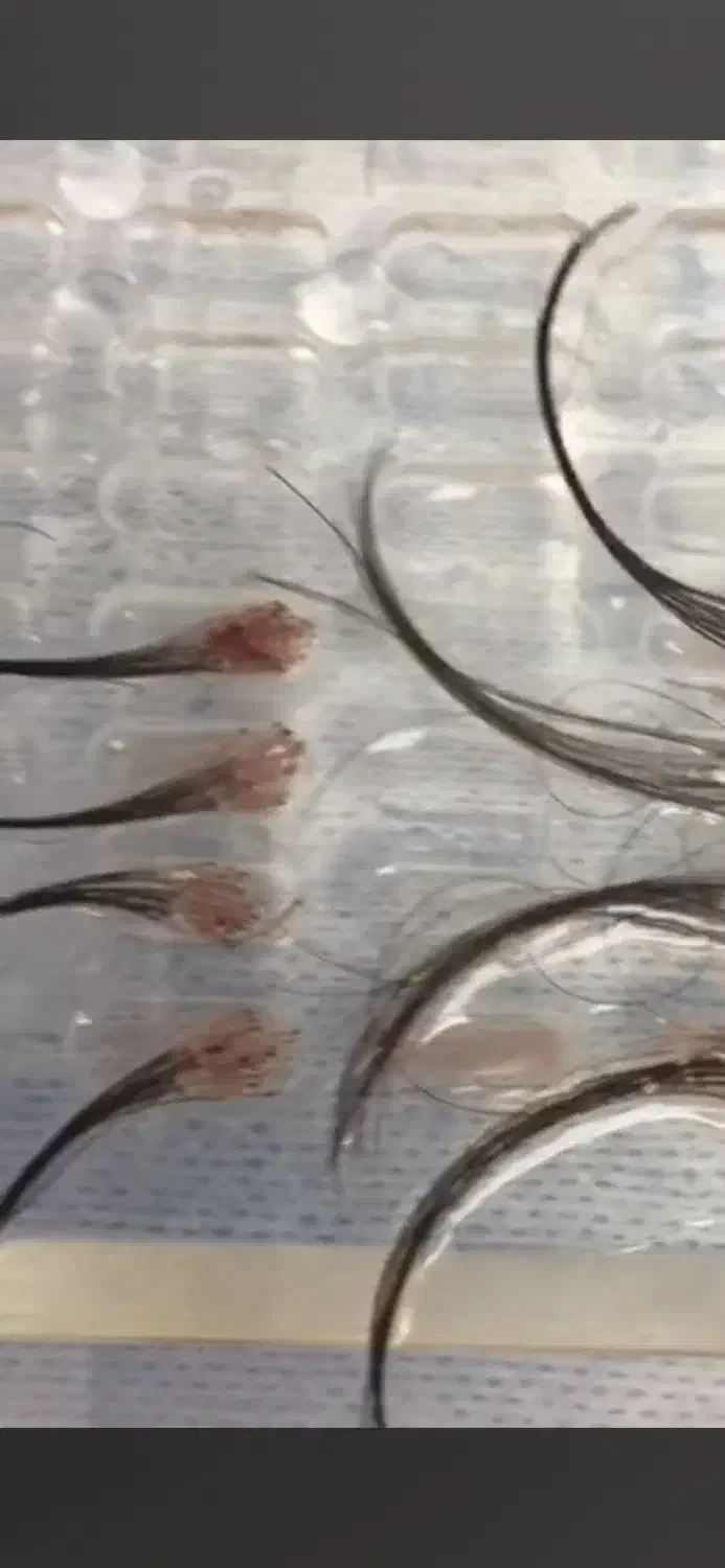 نیروی کات کار (کاشت مو)|استخدام درمانی، زیبایی، بهداشتی|قم, باجک یک|دیوار