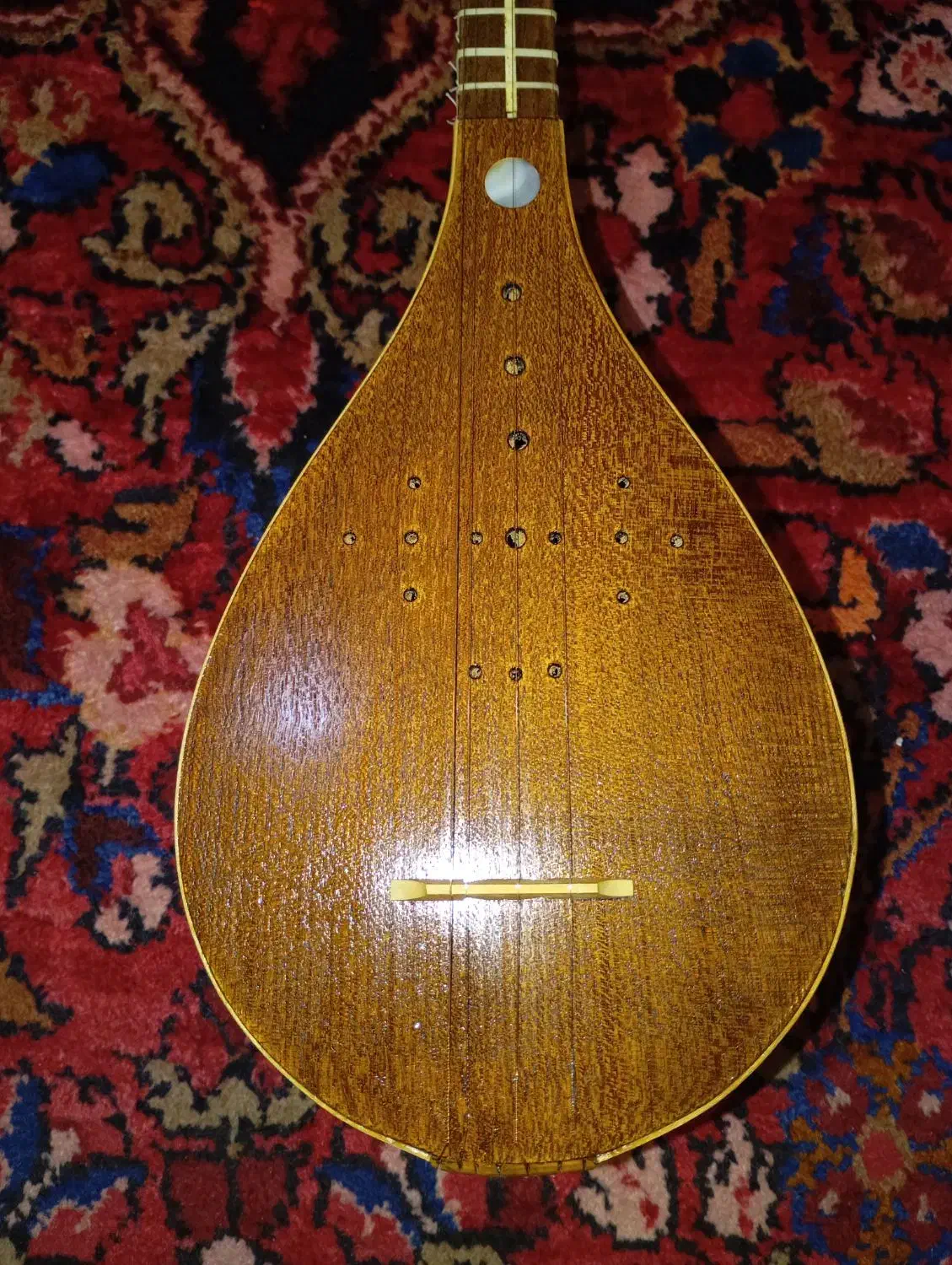 س تار کد۰۰۲|سازهای سنتی|اهواز, گلستان|دیوار