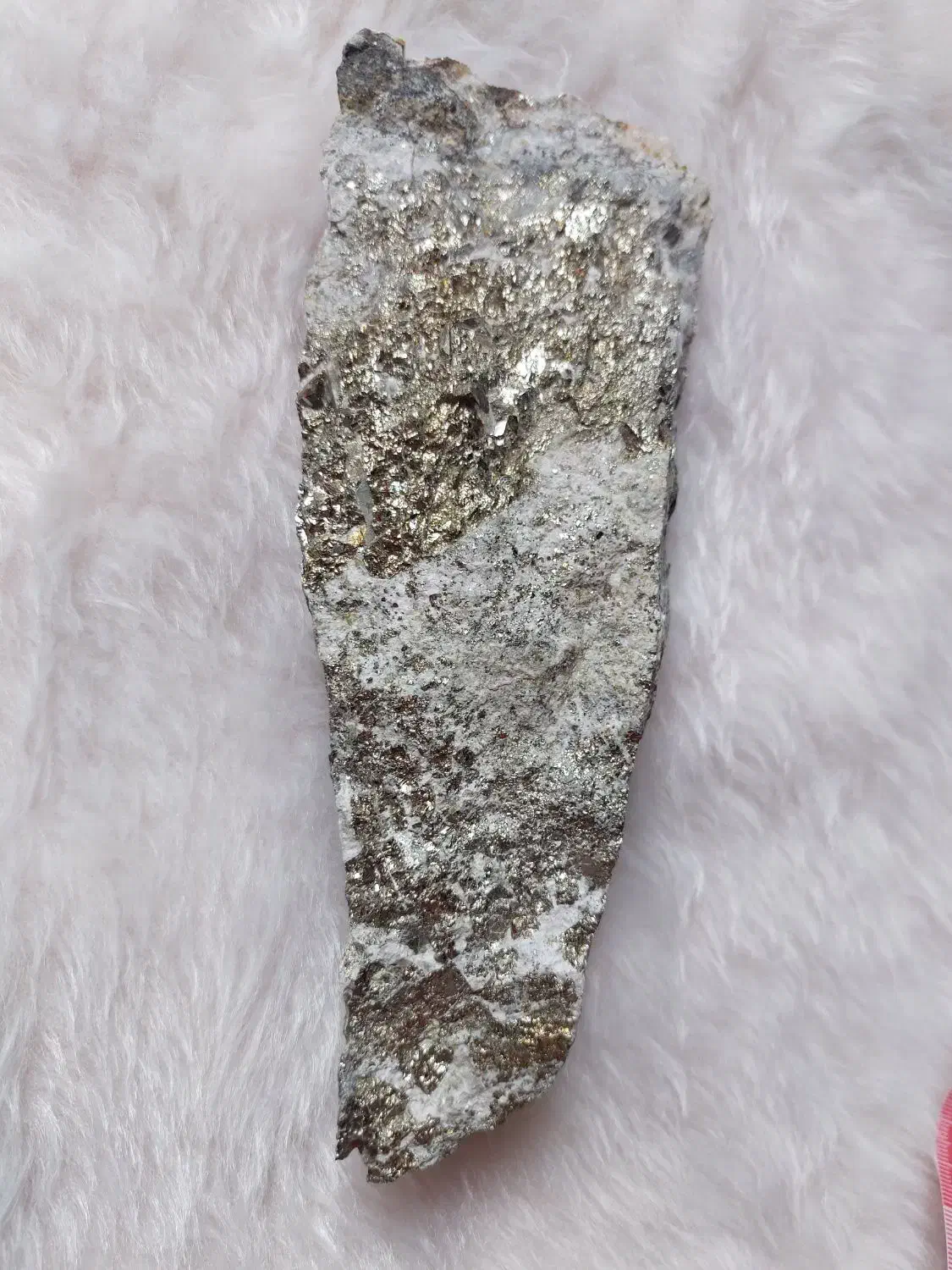 پیریت کلکسیونی|کلکسیون اشیاء عتیقه|پرند, فاز ۱|دیوار