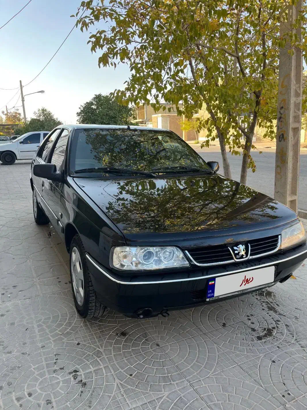 ۴۰۵ مدل ۹۹ تیوفایو|خودرو سواری و وانت|نی‌ریز, |دیوار