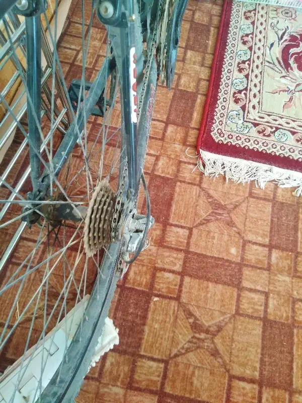 دوچرخه دنده ای 26|دوچرخه، اسکیت، اسکوتر|تربت جام, میان جام|دیوار