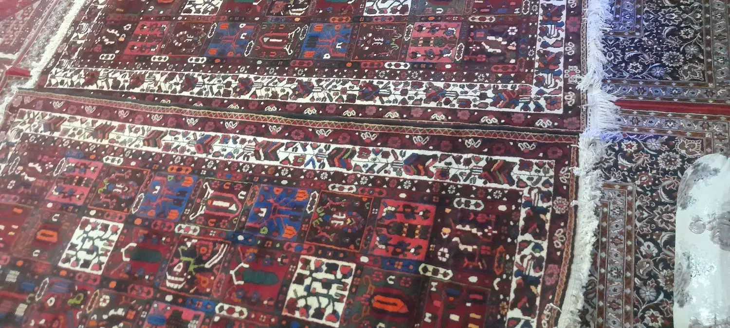 فرش دست باف بلداجی درحد نونو|فرش|شهرکرد, |دیوار