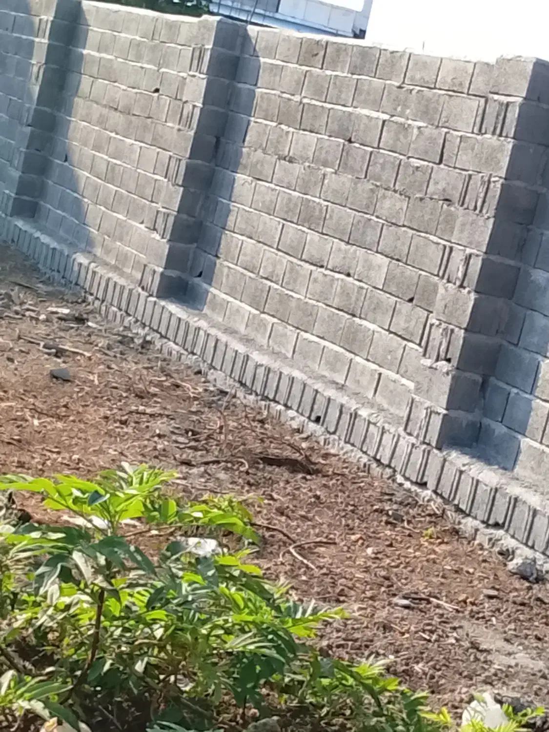 بنایی ساختمان از صفر تا صد|خدمات پیشه و مهارت|بابکان, |دیوار