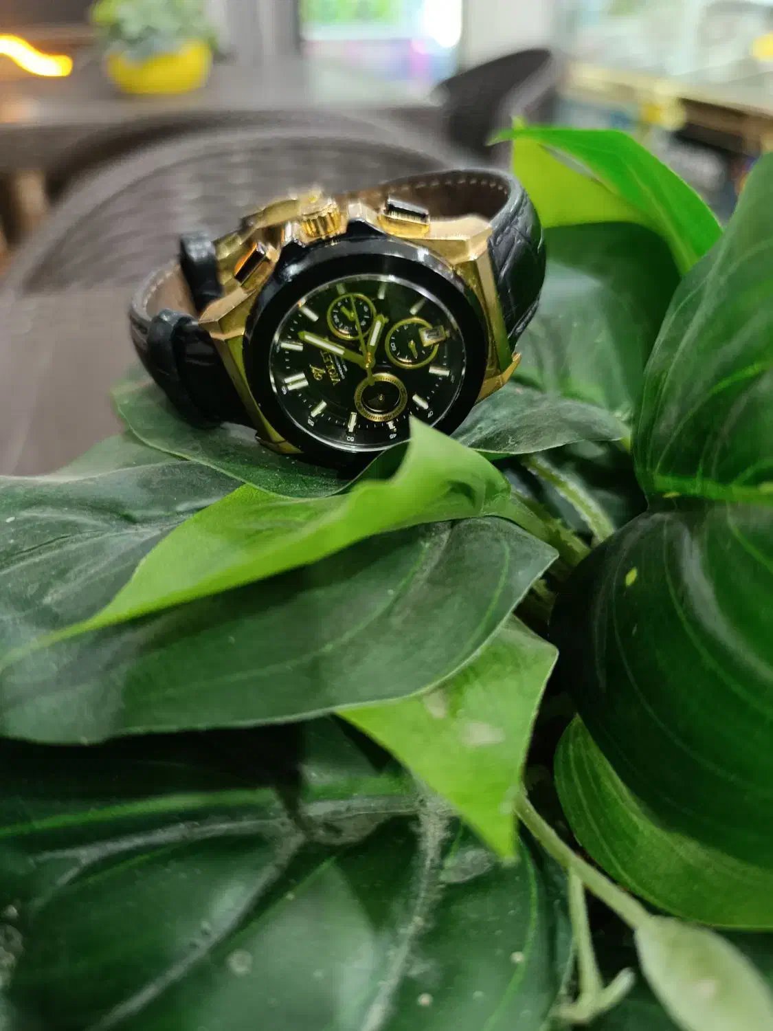 ساعت مچی ویولت اصلی زنانه|ساعت|تهران, باغ خزانه|دیوار