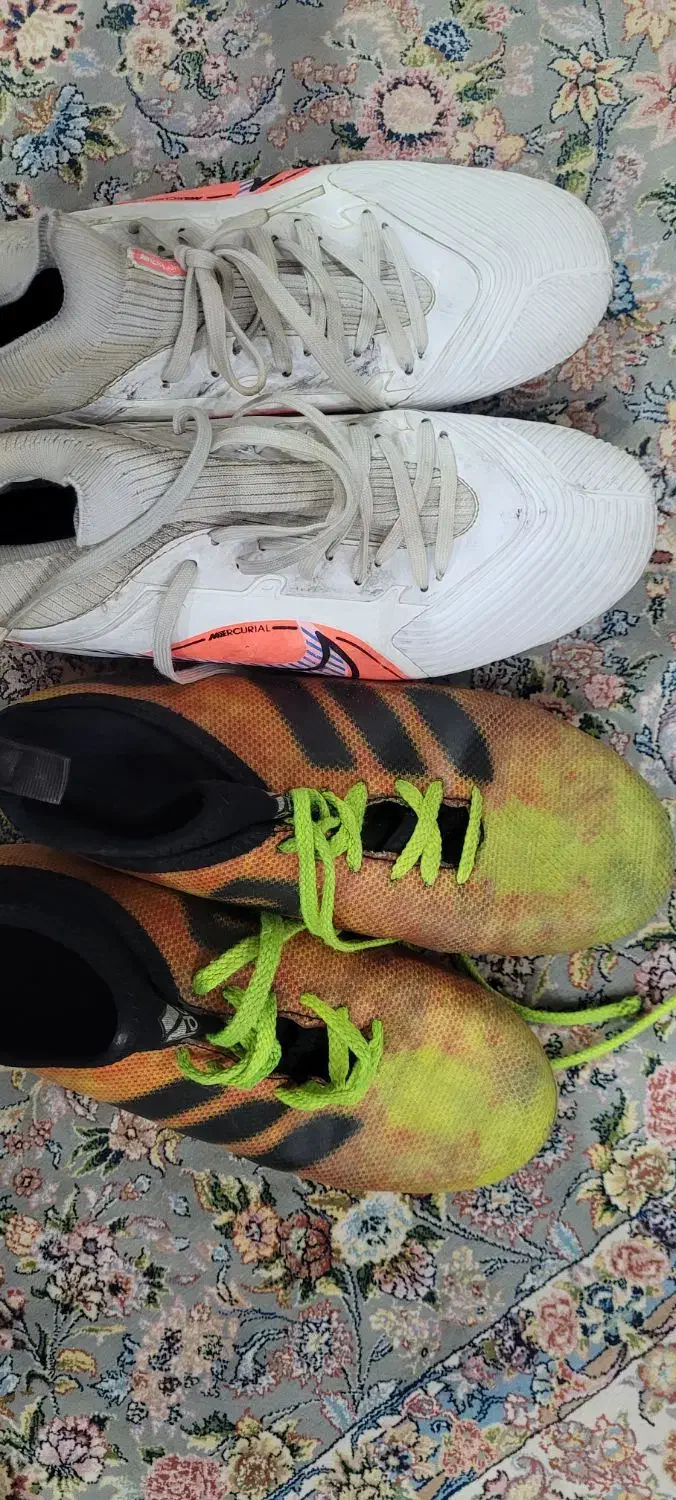 کفش ورزشی|کیف، کفش، کمربند|مبارکه, |دیوار