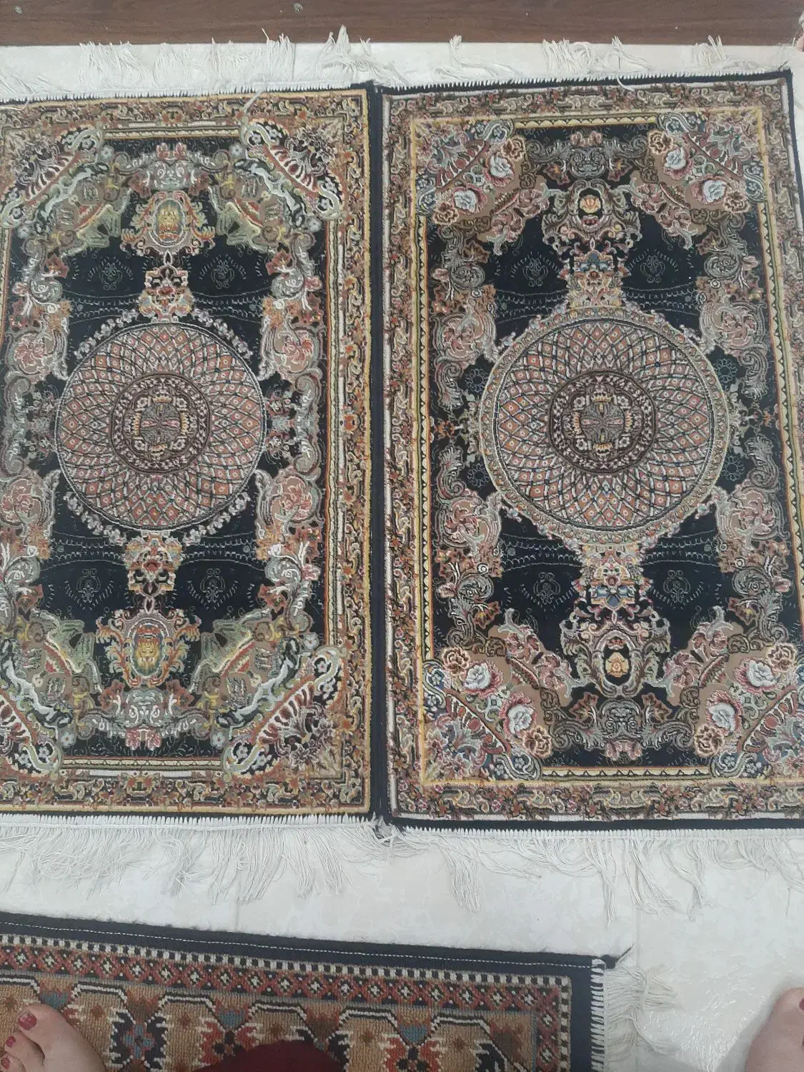 دو عدد پادری|پادری|هشتگرد, شهرک ریحانه|دیوار