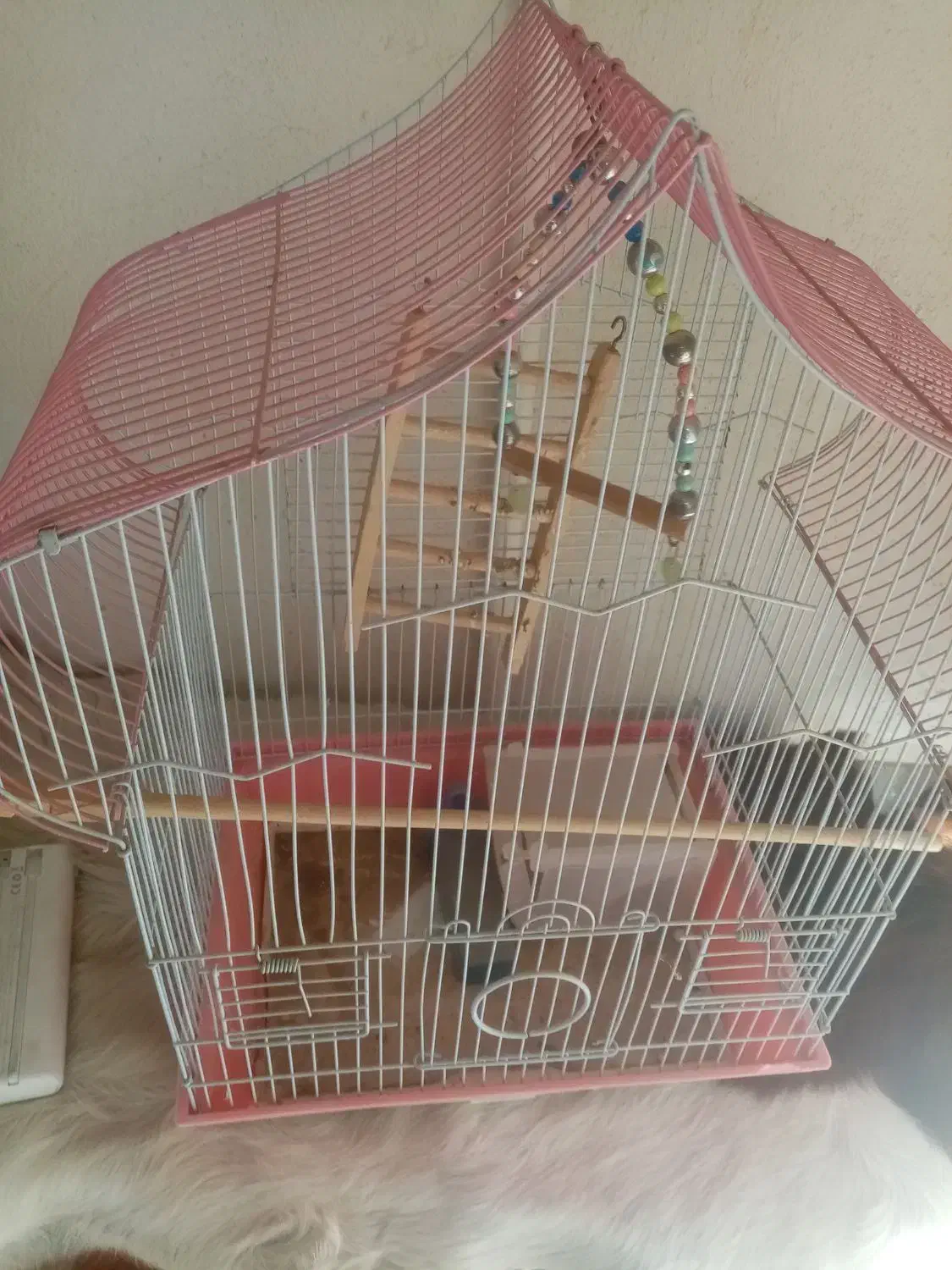 قفس بزرگ طوطی عروس|لوازم جانبی حیوانات|هشتگرد, هشتگرد قدیم|دیوار