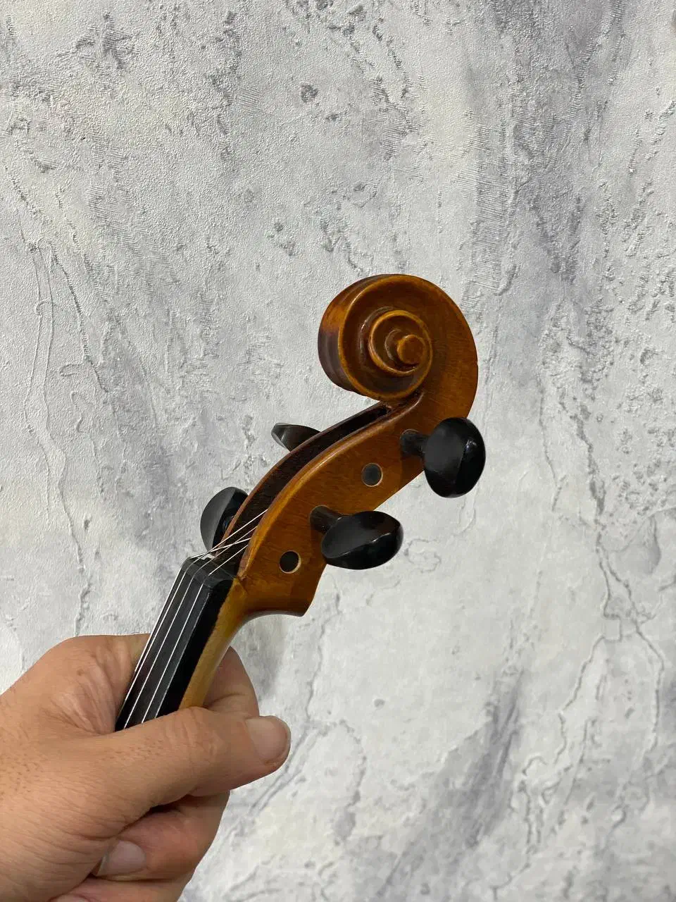 ویالون 4/4|ویولن|رشت, رودباری|دیوار