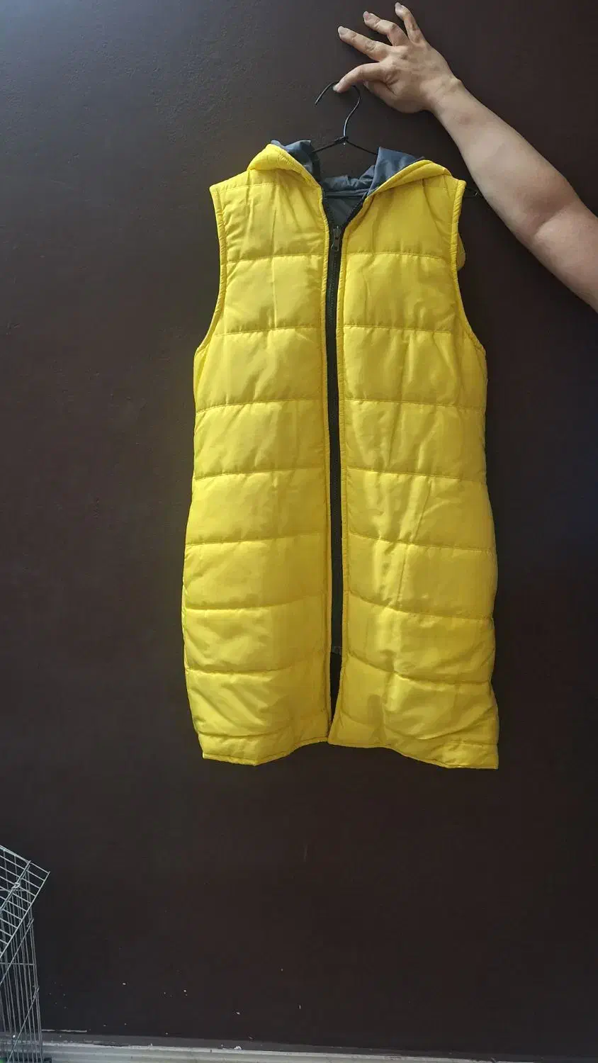 مانتو، کاپشن، پافر|لباس|گنبد کاووس, |دیوار