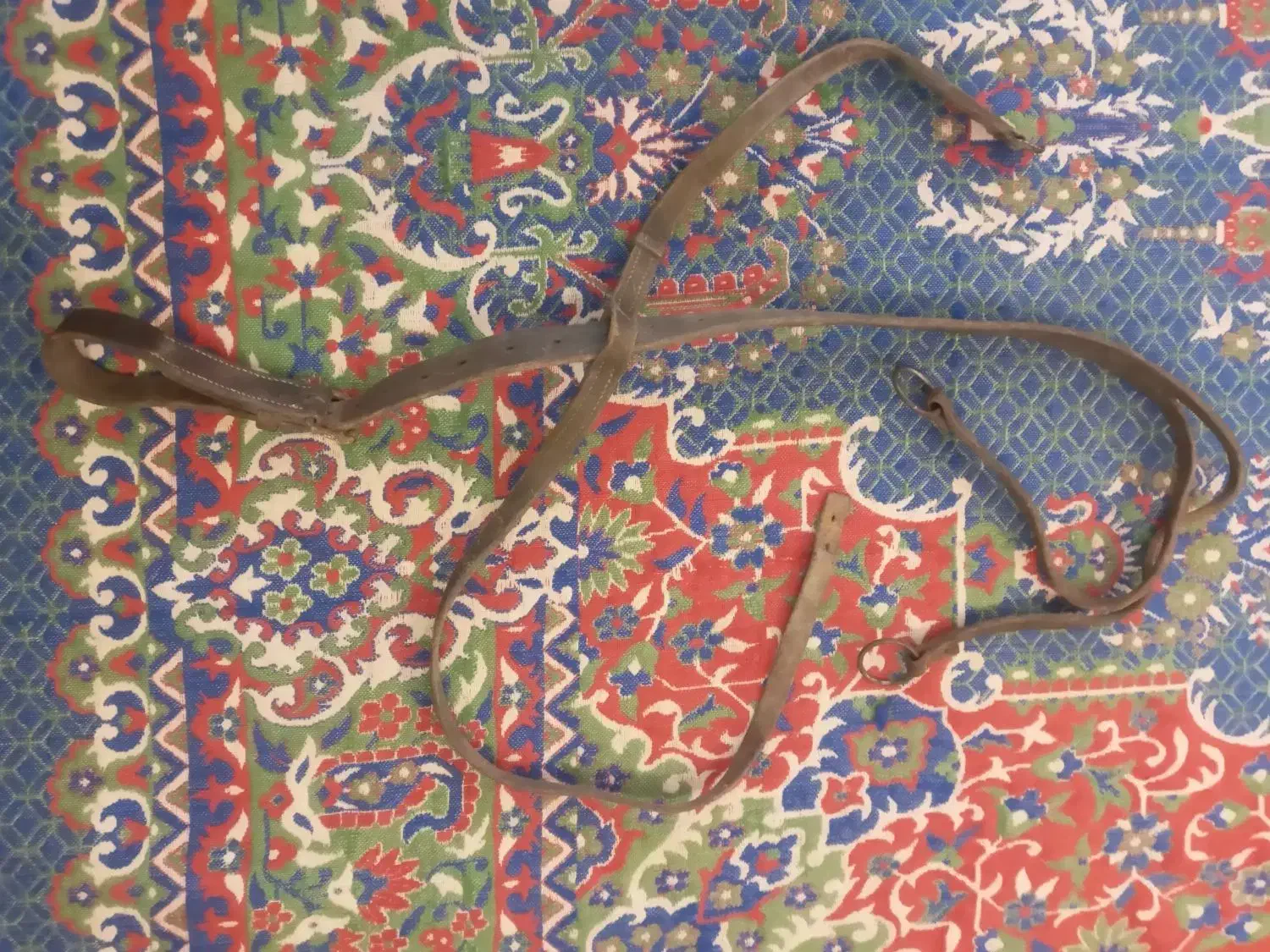 لوازم سوار کاری|اسب و تجهیزات اسب‌سواری|اردبیل, |دیوار