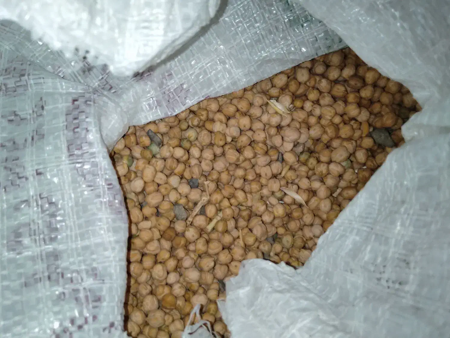 نخود|خوردنی و آشامیدنی|قم, قلعه کامکار|دیوار