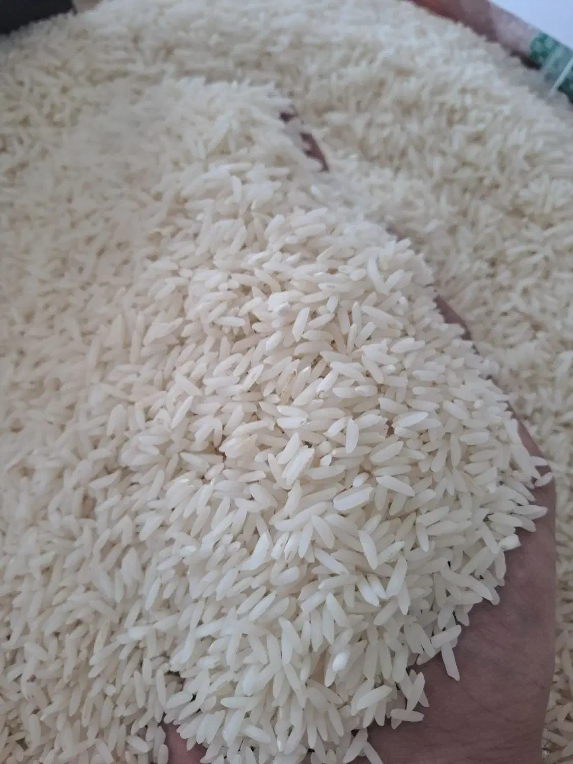 برنج صدری دم سیاه گیلان|خوردنی و آشامیدنی|زنجان, |دیوار