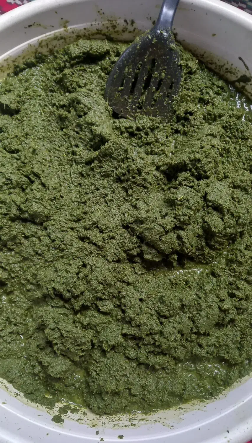 ترش واش باغ چای وسبزی خورد شده|حراج|لنگرود, |دیوار