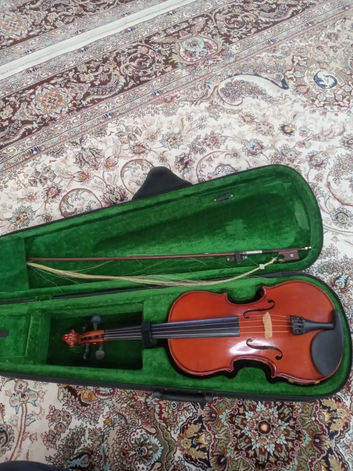 ویلن|ویولن|محمدشهر, محمدشهر|دیوار