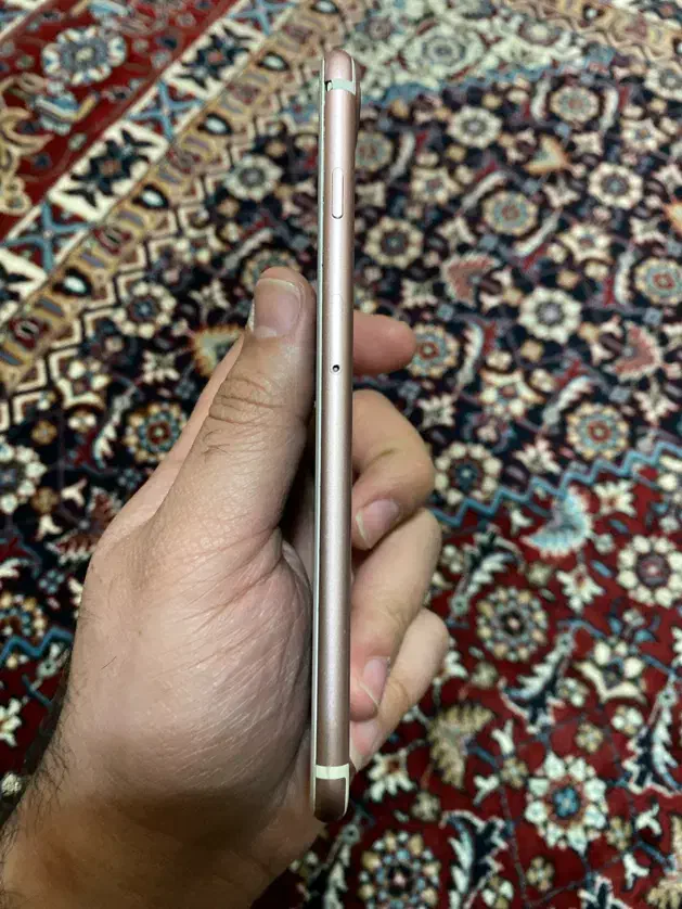 iPhone 7plus 256GB|موبایل|رشت, استادسرا|دیوار