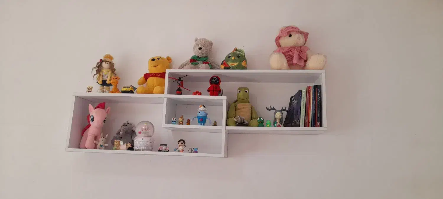 شلف دیواری|کتابخانه، شلف، قفسه‌های دیواری|رشت, کوی مهر|دیوار