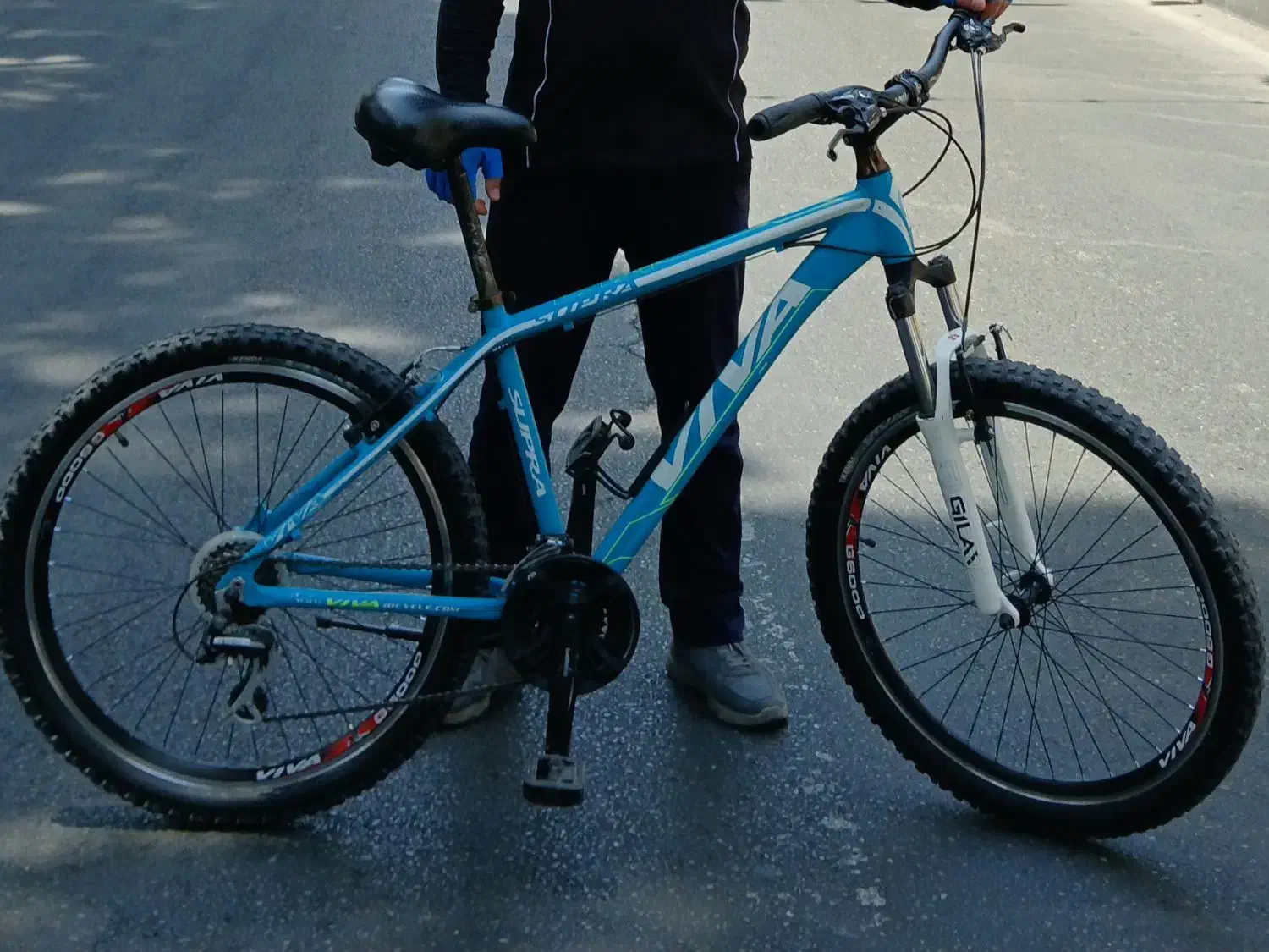 Viva تایوانی 26 کاملا سالم|دوچرخه، اسکیت، اسکوتر|فردیس, سرحد آباد|دیوار