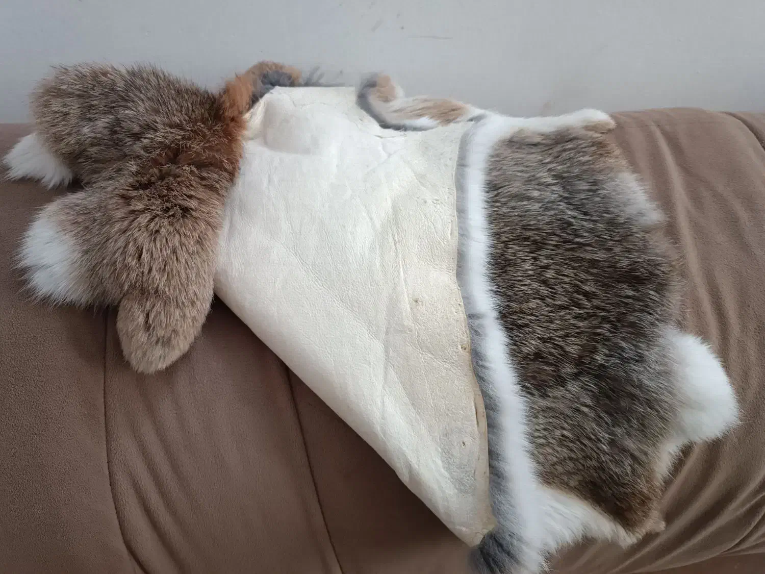 فروش پوست خرگوش باکیفیت|صنایع دستی و سایر لوازم تزئینی|شیراز, عفیفآباد|دیوار